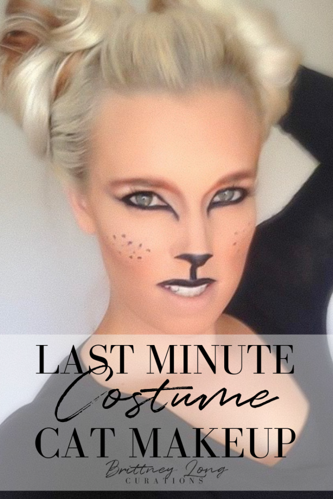 How to do your makeup like a cat for halloween. Easy DIY Costume for women and moms using just your makeup.